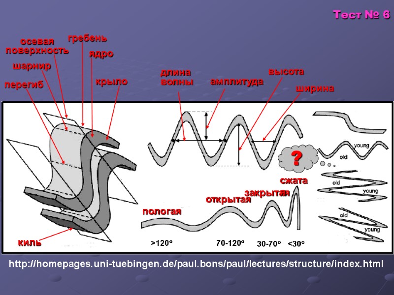 Тест № 6  http://homepages.uni-tuebingen.de/paul.bons/paul/lectures/structure/index.html  шарнир осевая  поверхность гребень ядро крыло перегиб
